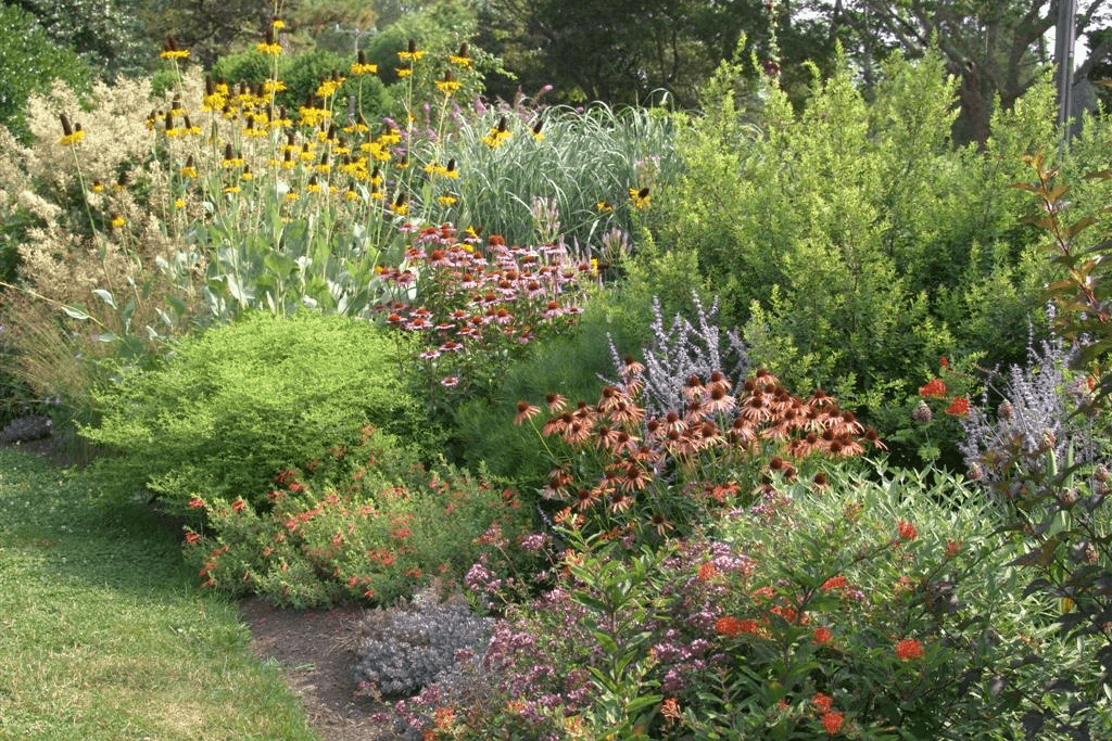 Native Plants - Casey & Company