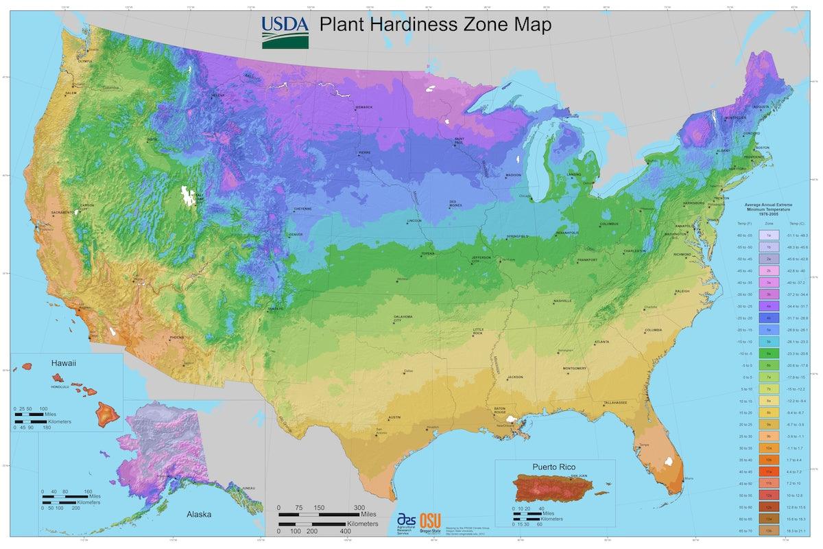 USDA Heartiness Zone 10 - Casey & Company