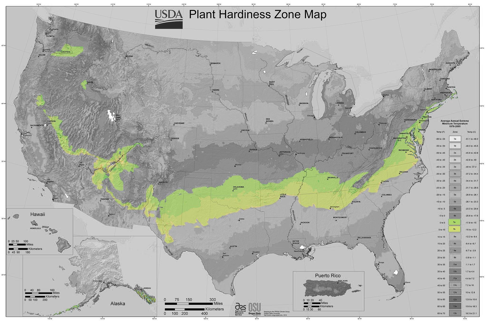 USDA Heartiness Zone 7 - Casey & Company