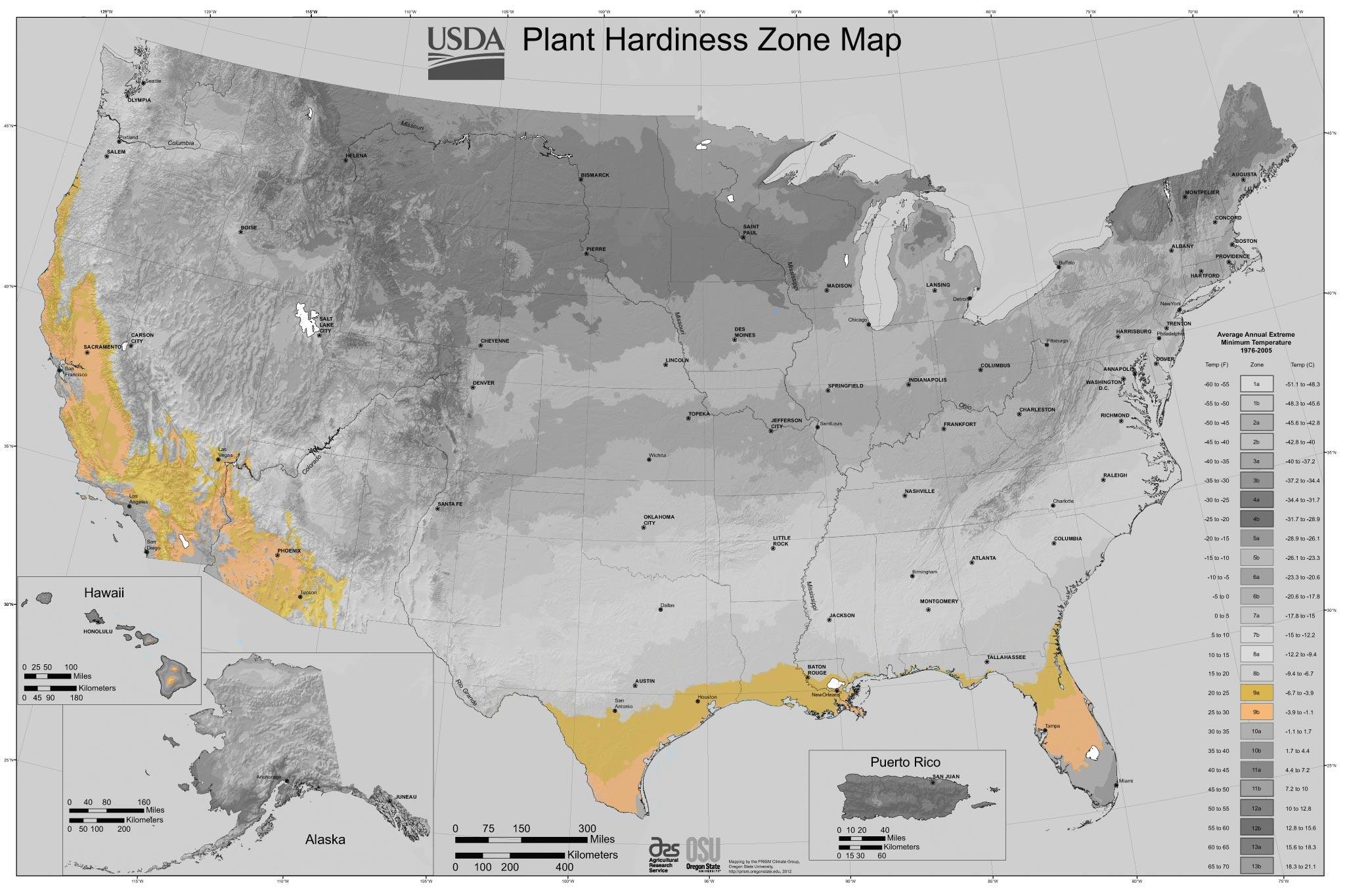 USDA Heartiness Zone 9 - Casey & Company