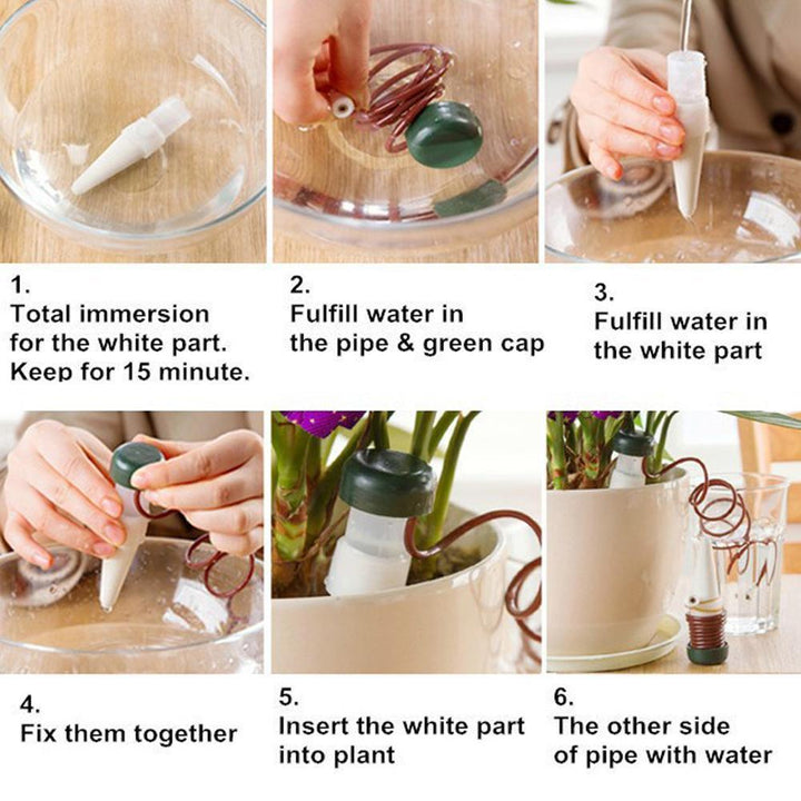 Automatic Plant Waterers - Casey & Company