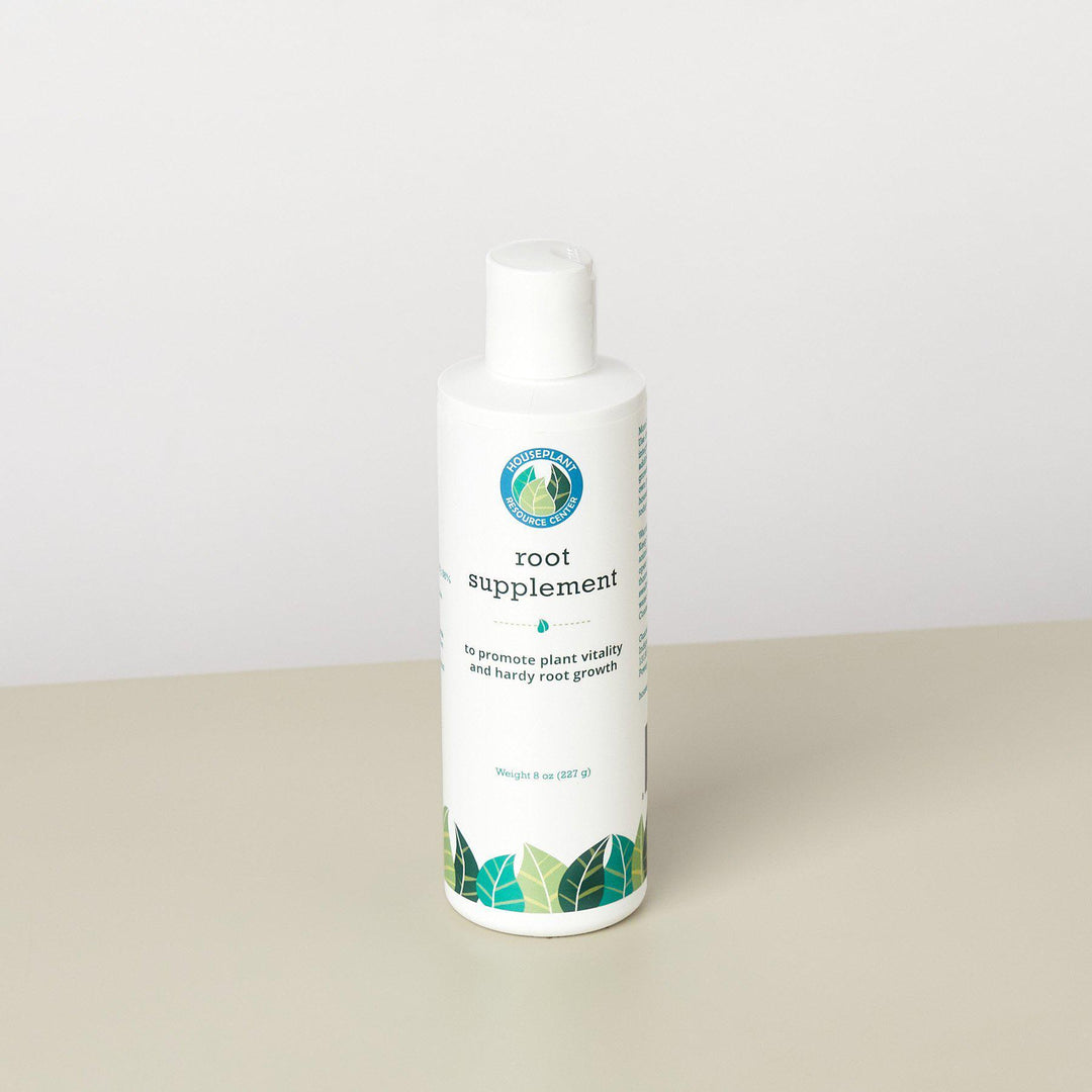 House Plant Root Rot Treatment - Casey & Company