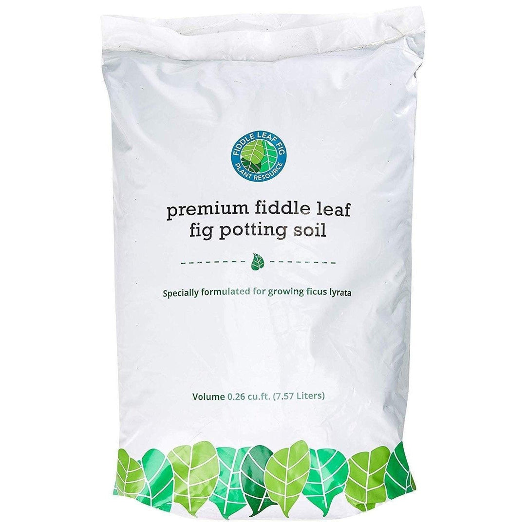 Premium Fiddle Leaf Fig Potting Soil - Casey & Company