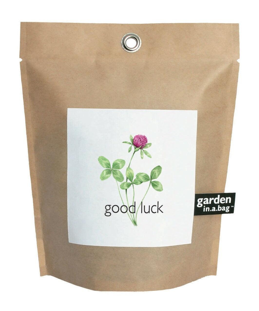 Garden-in-a-bag Good Luck Clover - Casey & Company