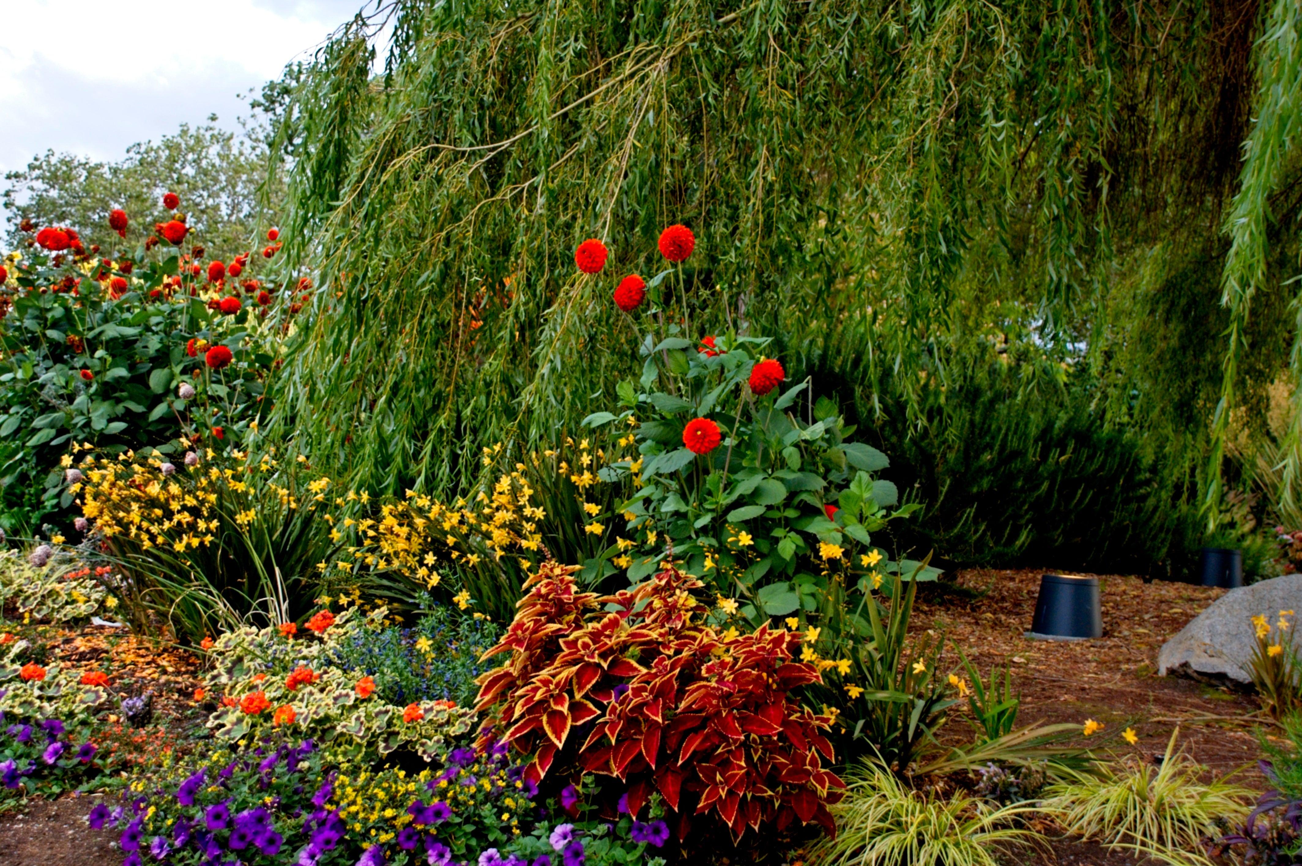 Maximizing Small Spaces: Innovative Techniques for Urban Commercial Gardening - Casey & Company