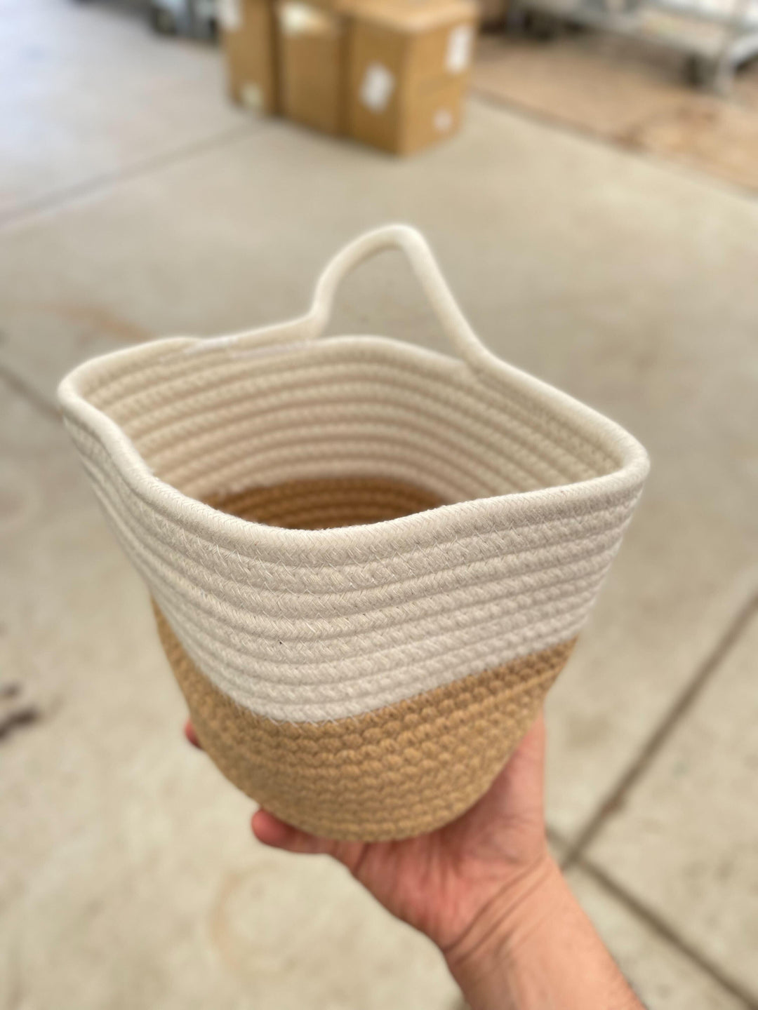 Basket Planter 6" - Casey & Company