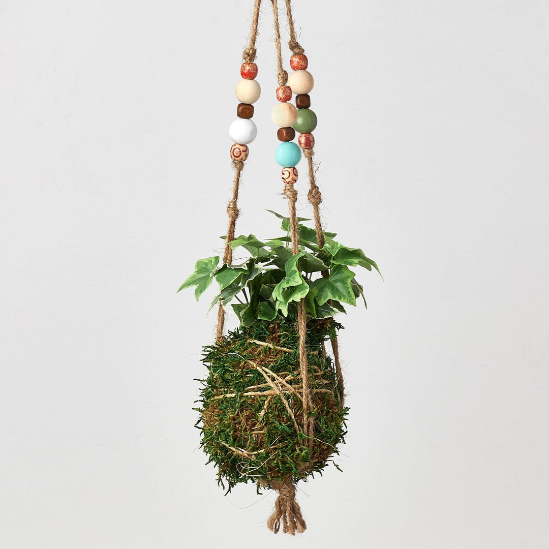 Bead Kokedama Moss Ball Hanging Plant - Casey & Company