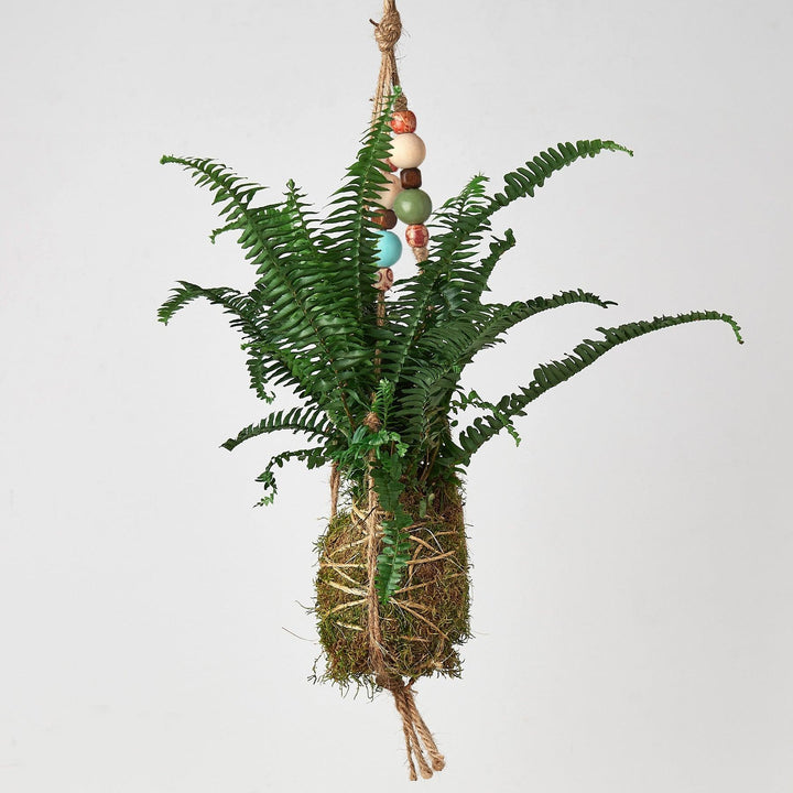 Bead Kokedama Moss Ball Hanging Plant - Casey & Company