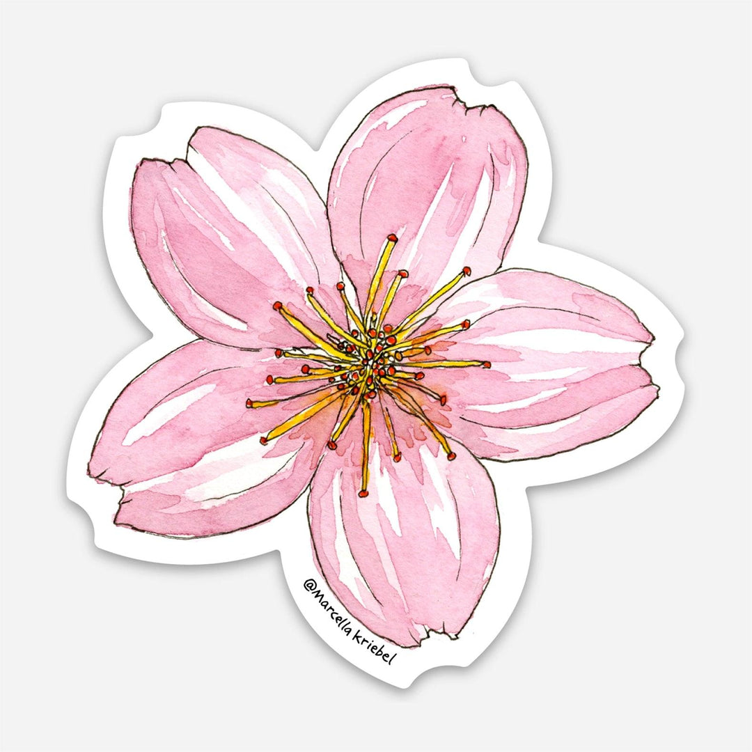 Cherry Blossom Flower Sticker - Casey & Company
