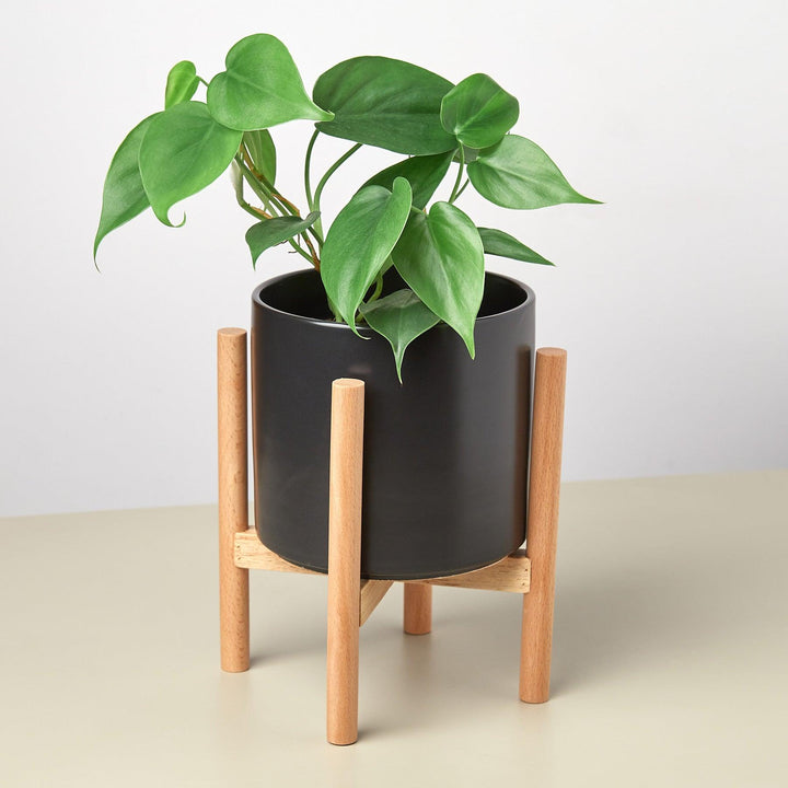 Cylinder Planter with Wood Stand - 5" Pot - Casey & Company