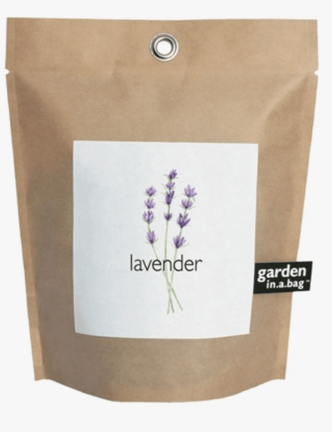Garden in a Bag - Lavender - Casey & Company