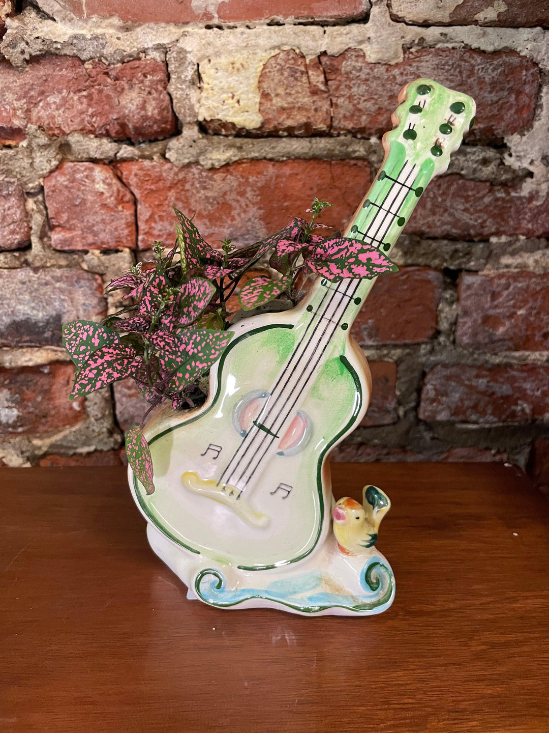 Guitar with Bird Planter with hypoestes plant - Casey & Company