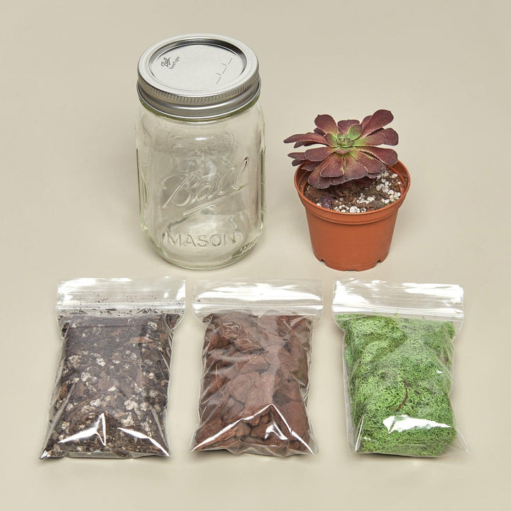 Mason Jar Terrarium Kit - Casey & Company