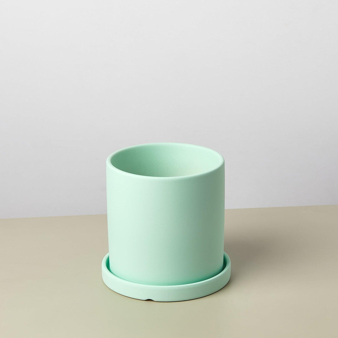 cylinder planter with saucer Matte Finish Cylinder Planter with Saucer – Casey & Company
