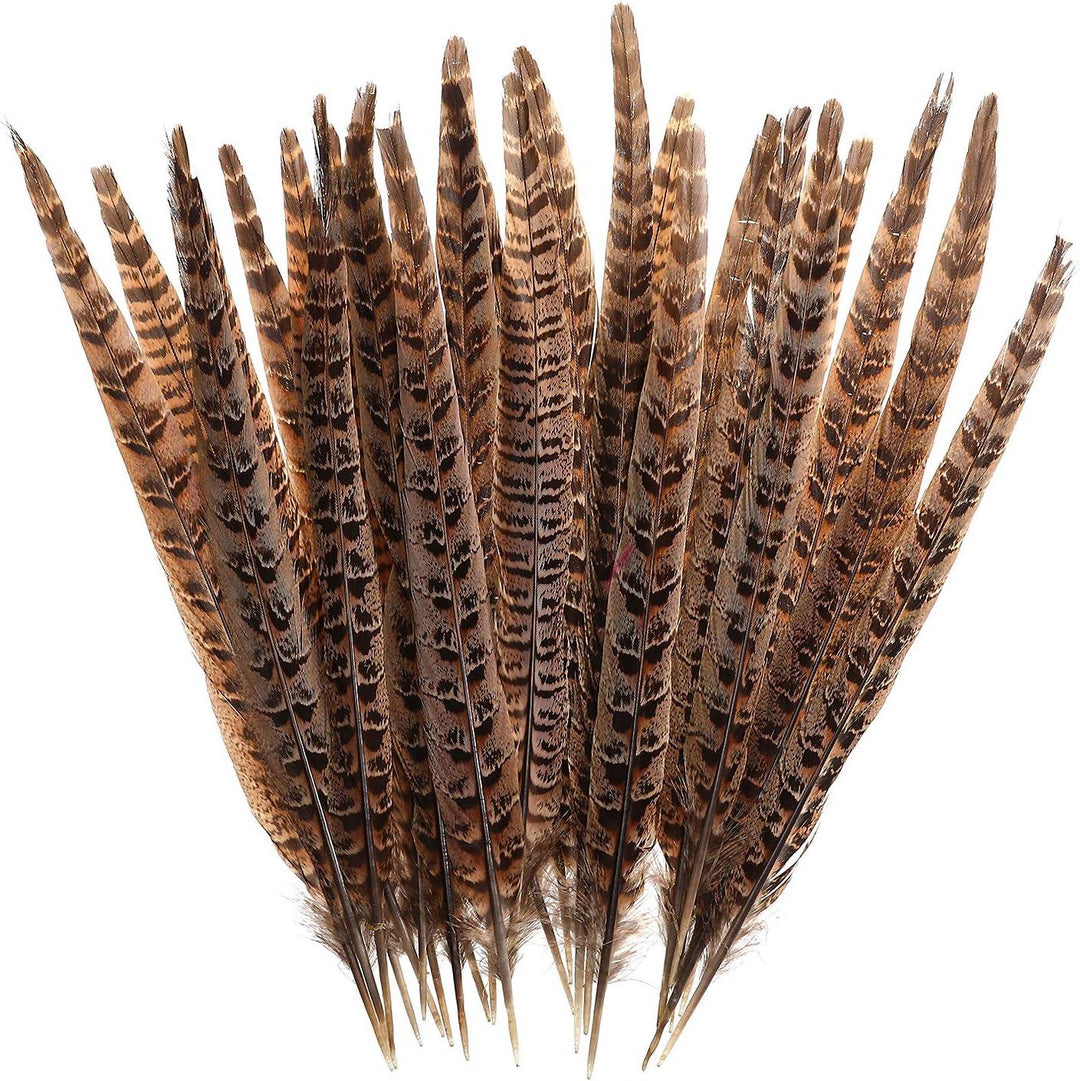 Natural Pheasant Feathers - Pheasant Tail for DIY Decoration - Casey & Company