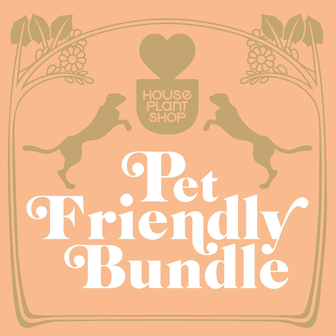 Pet Friendly Variety Bundle - Casey & Company