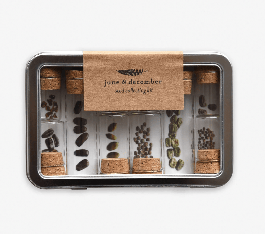 Seed Collecting Kit - Casey & Company