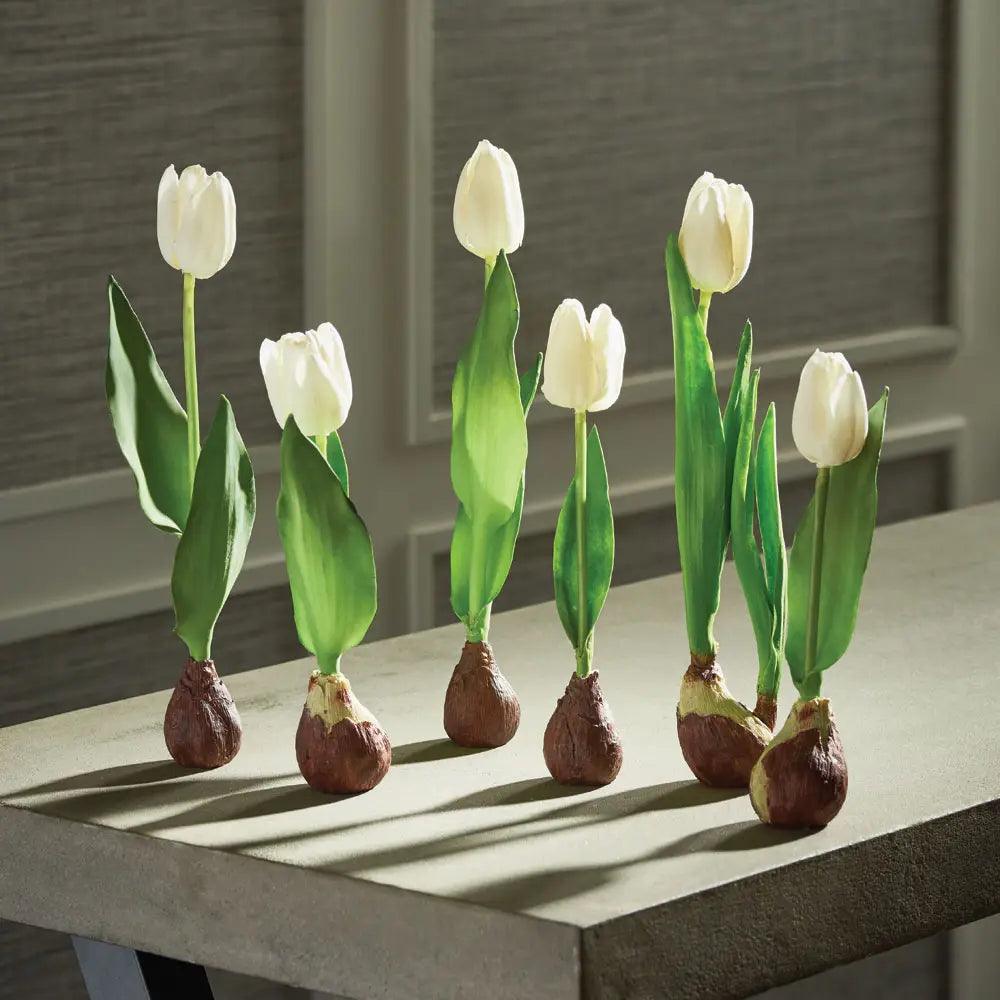 Standing Tulips with Bulbs, Set of 6 - Casey & Company