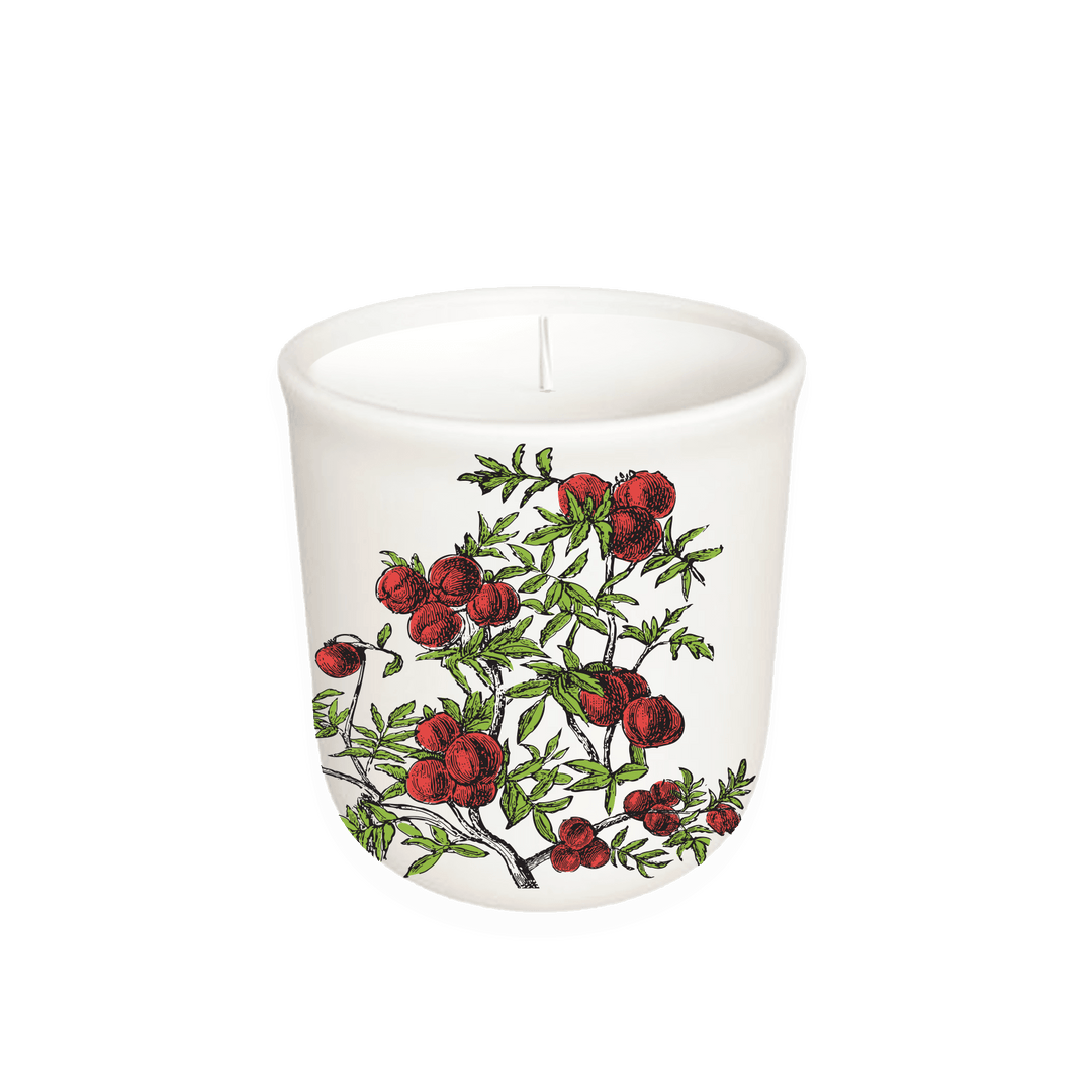 Tomato - Terrace Collection Candle - Casey & Company