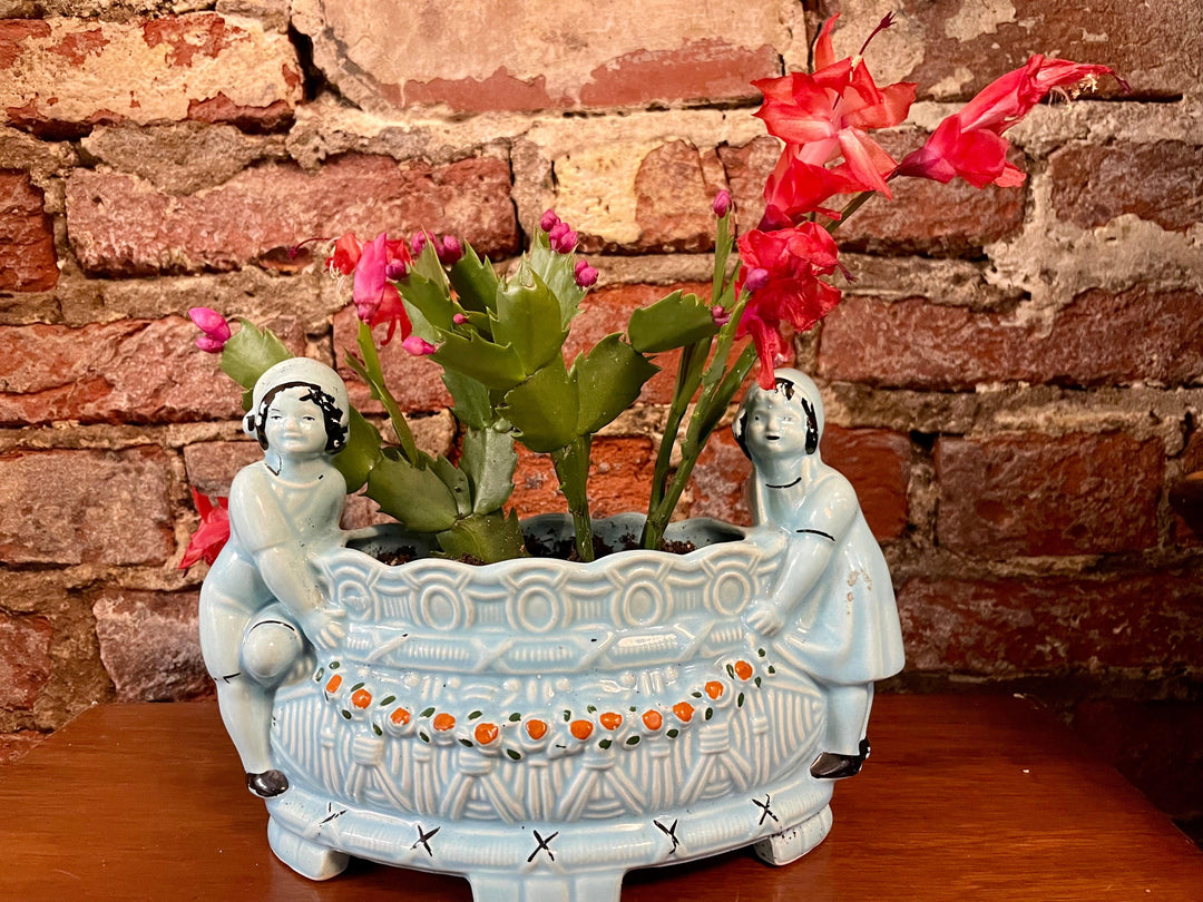 Vintage blue planter with thanksgiving cactus - Casey & Company