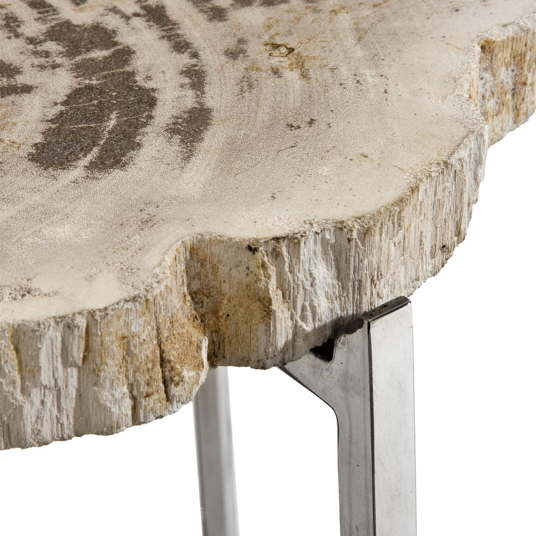Petrified Wood Side Tables - Casey & Company