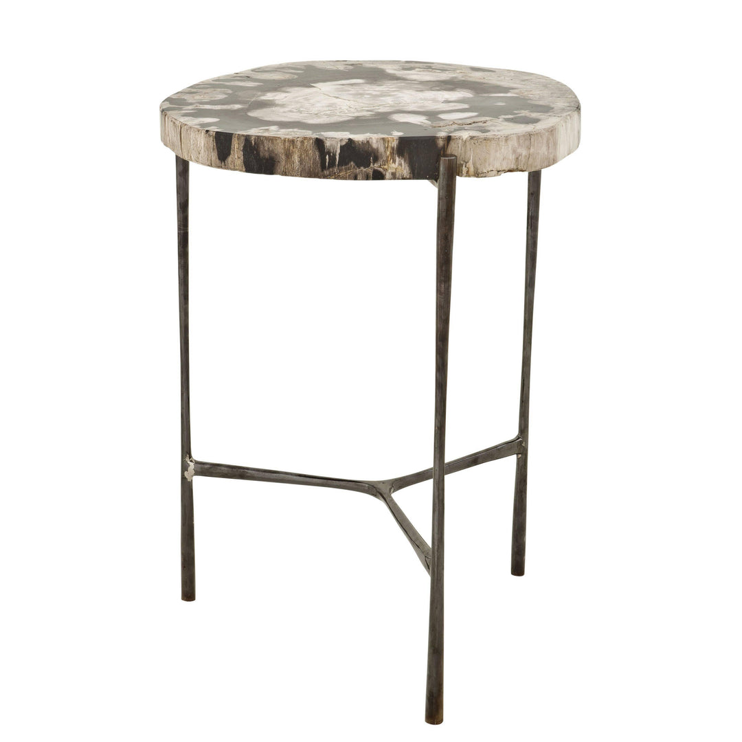 Petrified Wood Side Table - Casey & Company
