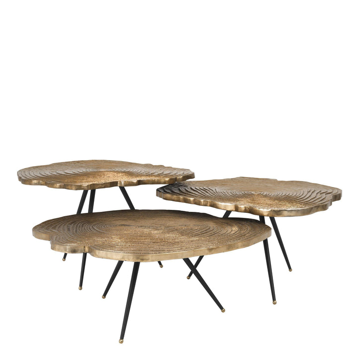 Gold Wood Slice Coffee Table Set - Casey & Company