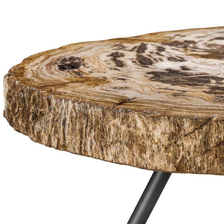 Petrified Wood Coffee Table Set - Casey & Company