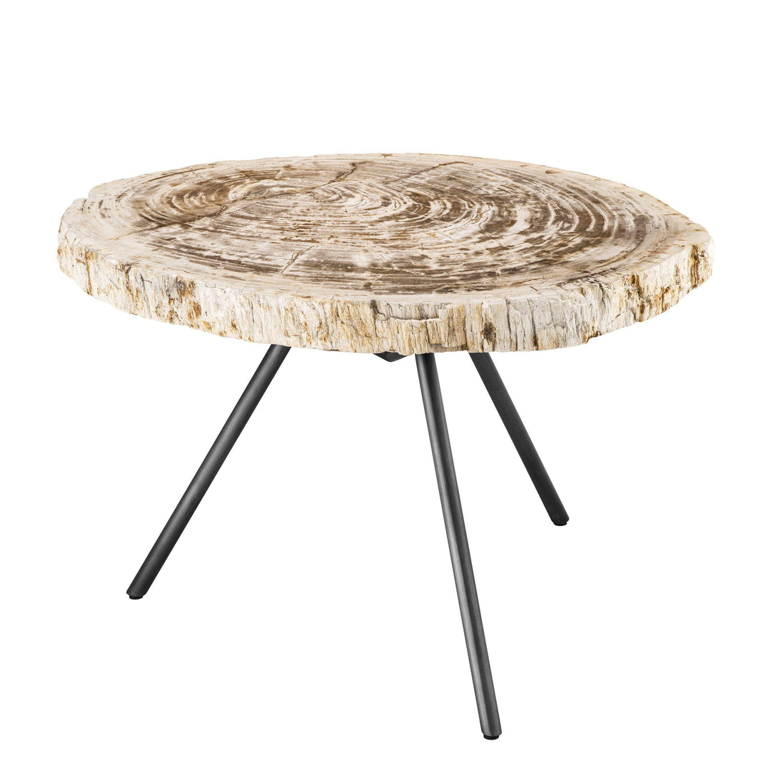 Petrified Wood Coffee Table Set - Casey & Company