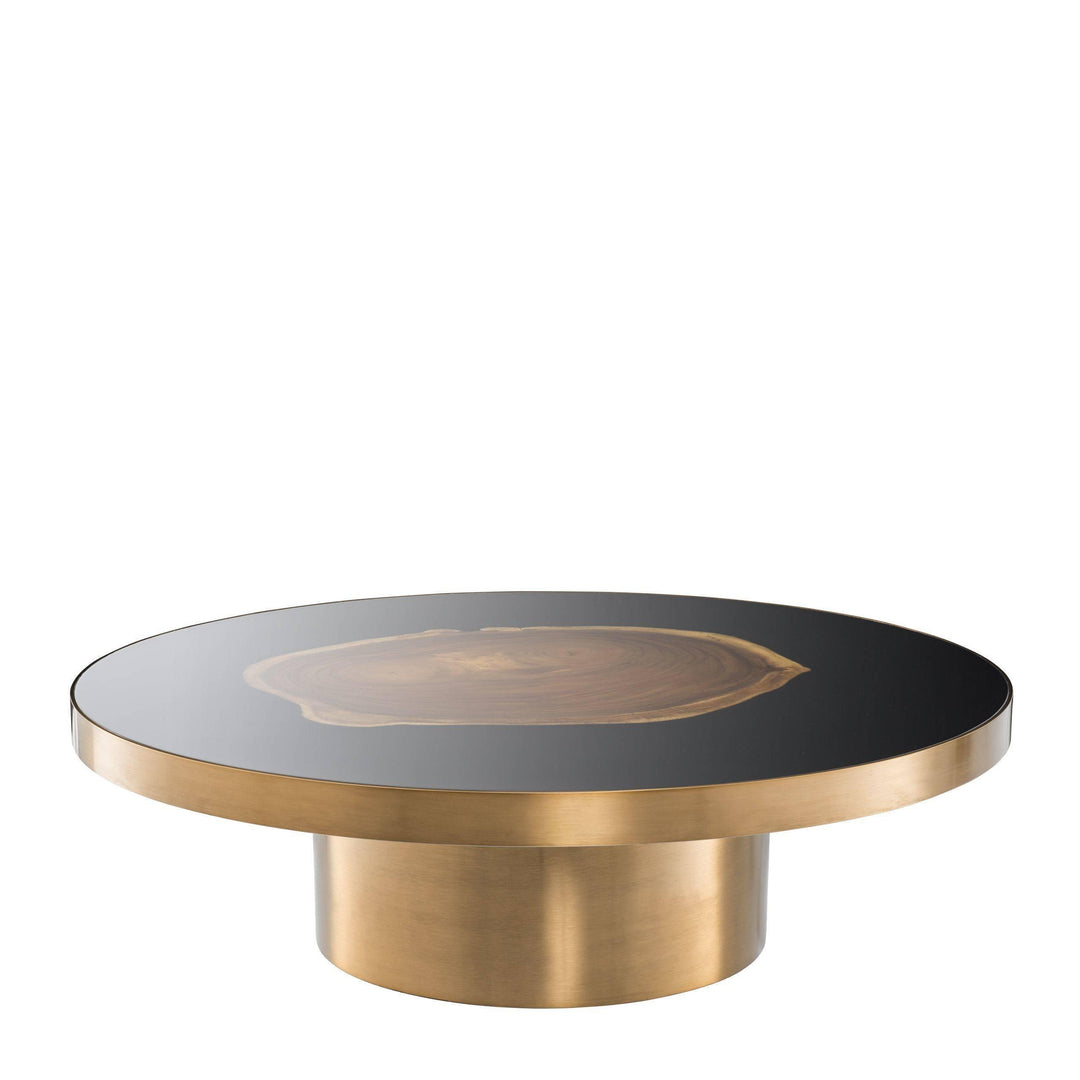 Golden Petrified Coffee Table - Casey & Company