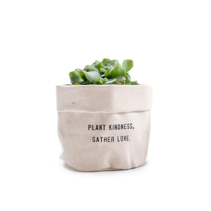 Large Canvas Planters - Casey & Company