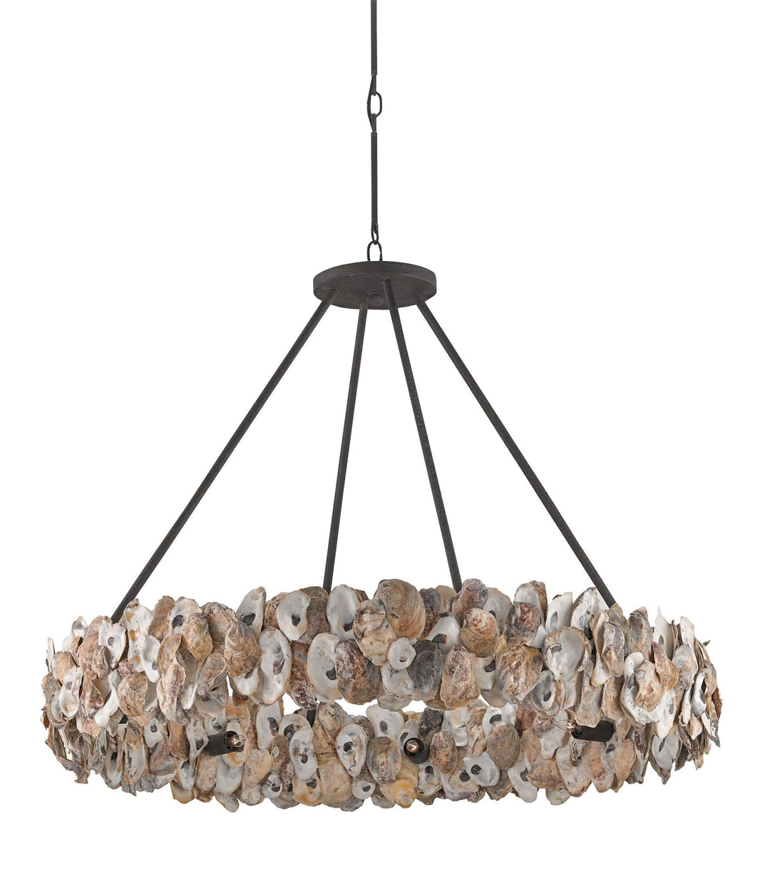 Oyster Chandelier - Casey & Company