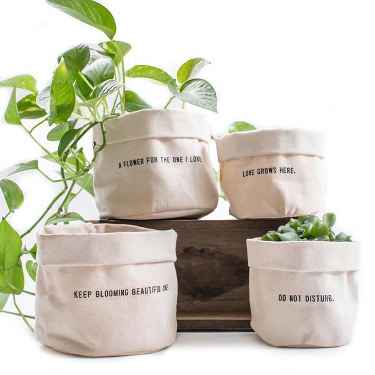 Large Canvas Planters – Casey & Company