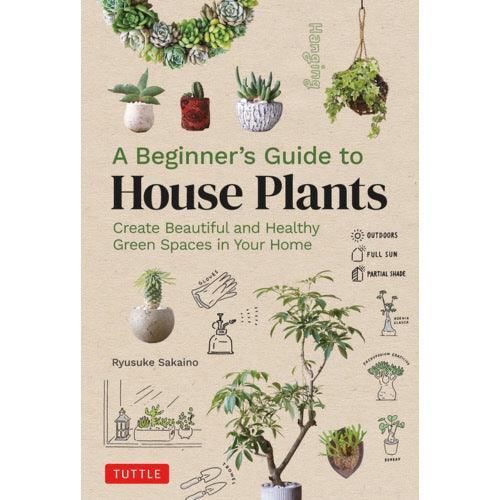 Beginner's Guide to House Plants - Casey & Company