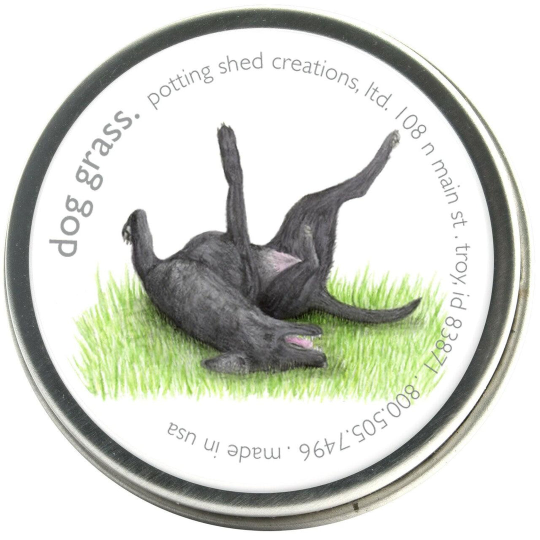 Garden Sprinkles Dog Grass - Casey & Company