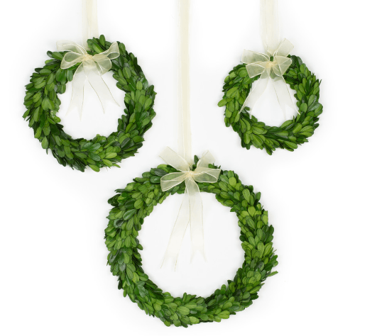 Preserved Boxwood Wreath With Ribbon, Set of 3 - Casey & Company