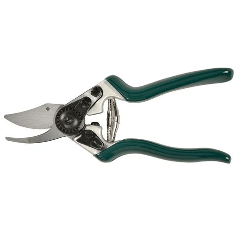 Professional Bypass Secateur - Casey & Company