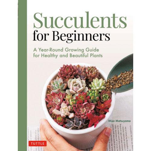 Succulents for Beginners - Casey & Company